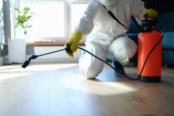 Reliable Hoarding Cleanup contractor in Seville, FL by Dulley Family Biohazard Services